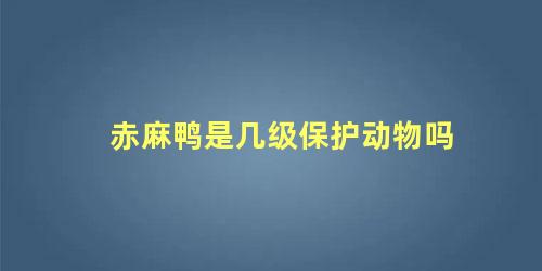 赤麻鸭是几级保护动物吗