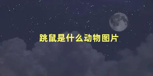 跳鼠是什么动物图片