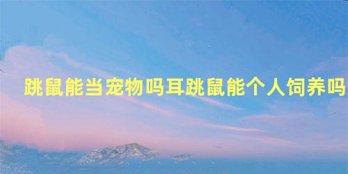 跳鼠能当宠物吗耳跳鼠能个人饲养吗