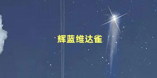 辉蓝维达雀