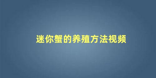 迷你蟹的养殖方法视频