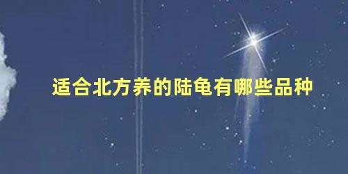 适合北方养的陆龟有哪些品种