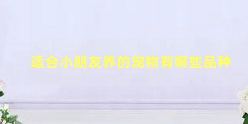 适合小朋友养的宠物有哪些品种