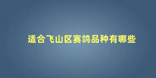 适合飞山区赛鸽品种有哪些