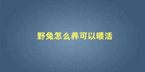 野兔怎么养可以喂活