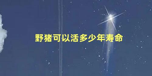 野猪可以活多少年寿命