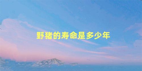 野猪的寿命是多少年