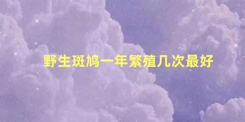 野生斑鸠一年繁殖几次最好