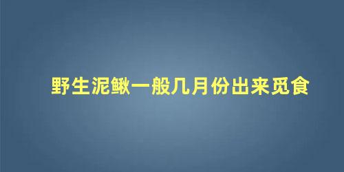 野生泥鳅一般几月份出来觅食
