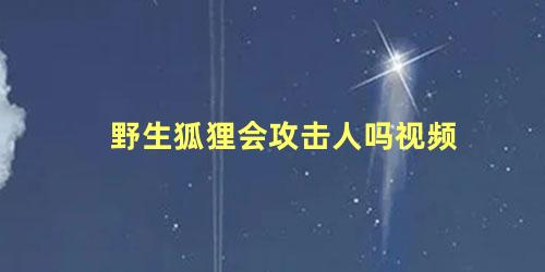 野生狐狸会攻击人吗视频