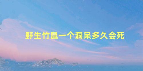 野生竹鼠一个洞呆多久会死