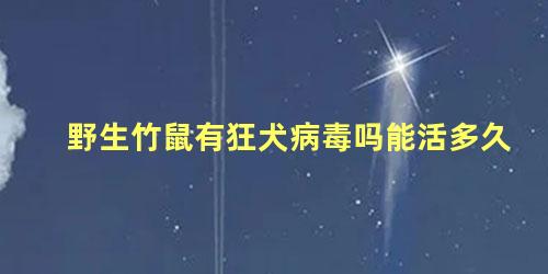 野生竹鼠有狂犬病毒吗能活多久