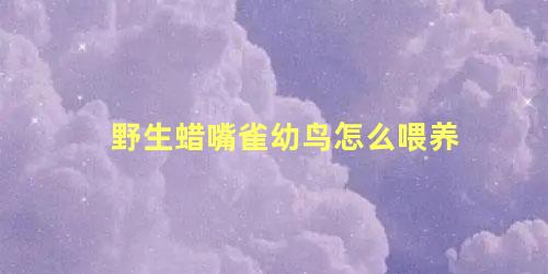 野生蜡嘴雀幼鸟怎么喂养
