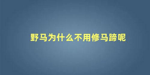 野马为什么不用修马蹄呢