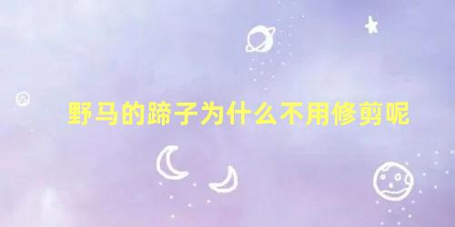野马的蹄子为什么不用修剪呢