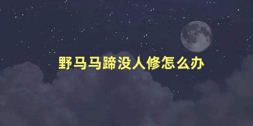 野马马蹄没人修怎么办