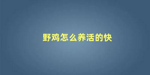 野鸡怎么养活的快