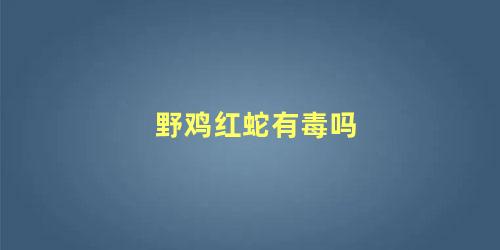 野鸡红蛇有毒吗