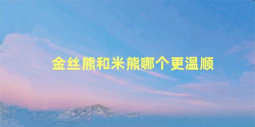 金丝熊和米熊哪个更温顺