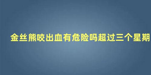 金丝熊咬出血有危险吗超过三个星期