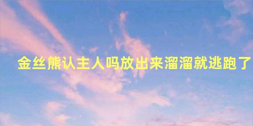 金丝熊认主人吗放出来溜溜就逃跑了
