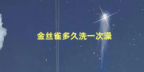 金丝雀多久洗一次澡