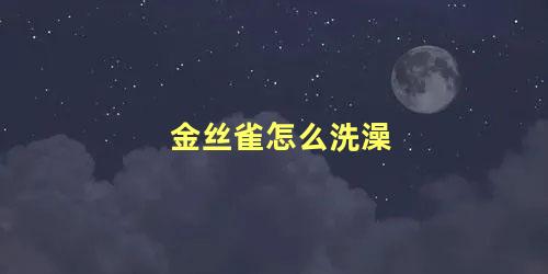 金丝雀怎么洗澡