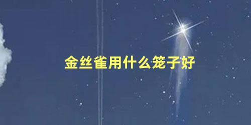 金丝雀用什么笼子好