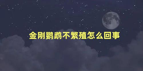 金刚鹦鹉不繁殖怎么回事