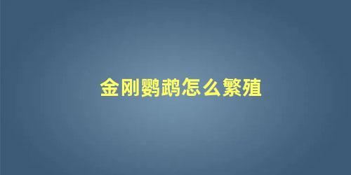 金刚鹦鹉怎么繁殖