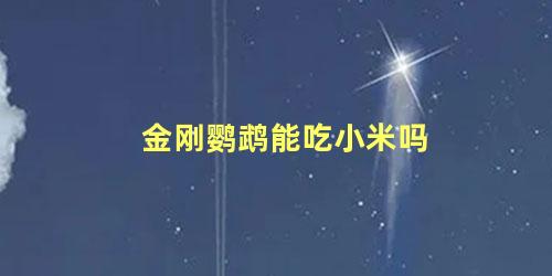 金刚鹦鹉能吃小米吗