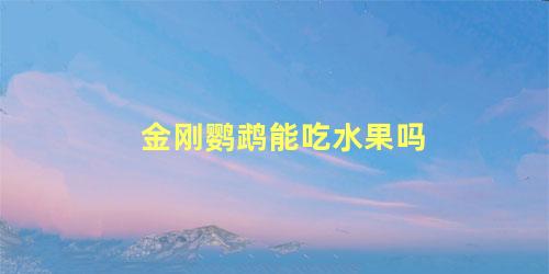 金刚鹦鹉能吃水果吗