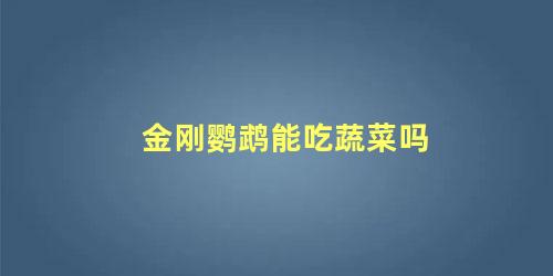 金刚鹦鹉能吃蔬菜吗
