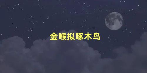 金喉拟啄木鸟