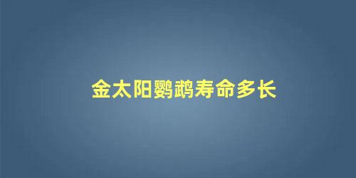 金太阳鹦鹉寿命多长