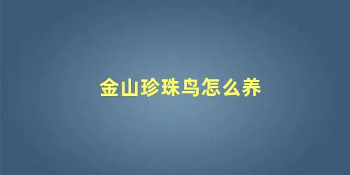 金山珍珠鸟怎么养