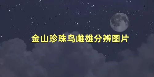 金山珍珠鸟雌雄分辨图片