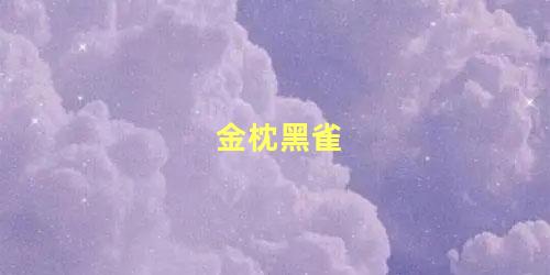 金枕黑雀
