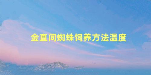 金直间蜘蛛饲养方法温度