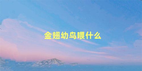 金翅幼鸟喂什么