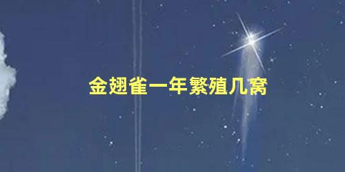 金翅雀一年繁殖几窝