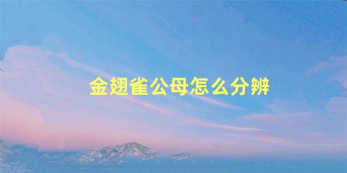 金翅雀公母怎么分辨
