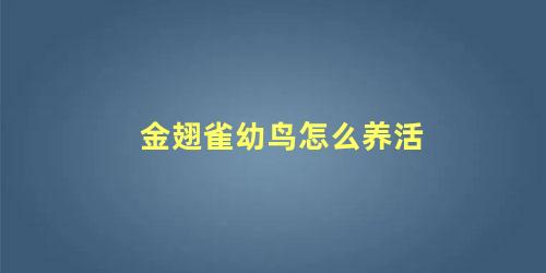 金翅雀幼鸟怎么养活