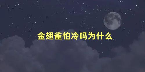 金翅雀怕冷吗为什么