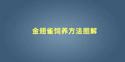 金翅雀饲养方法图解
