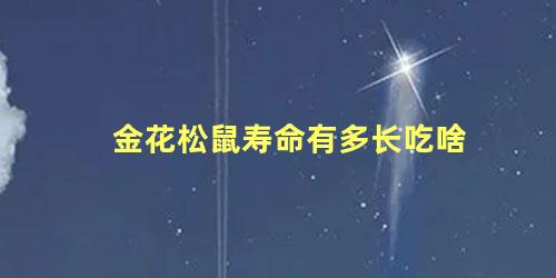 金花松鼠寿命有多长吃啥