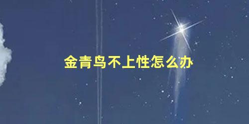 金青鸟不上性怎么办
