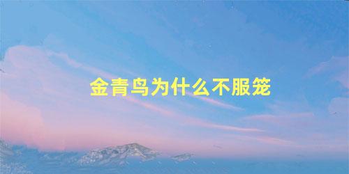 金青鸟为什么不服笼