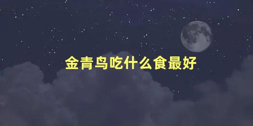 金青鸟吃什么食最好