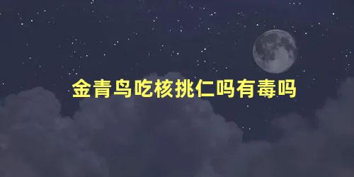 金青鸟吃核挑仁吗有毒吗